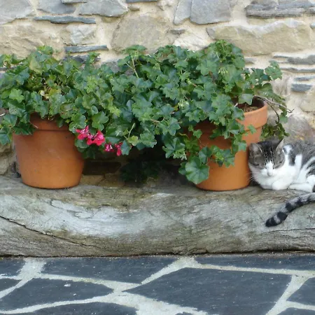 Casa Valle 度假居