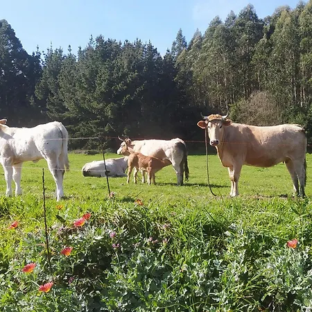 Casa Valle Сasa de vacaciones *