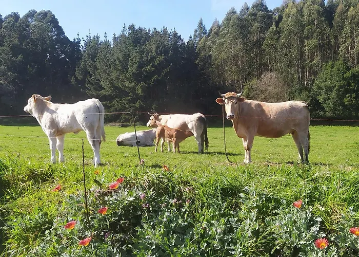 Casa Valle Дом отдыха *